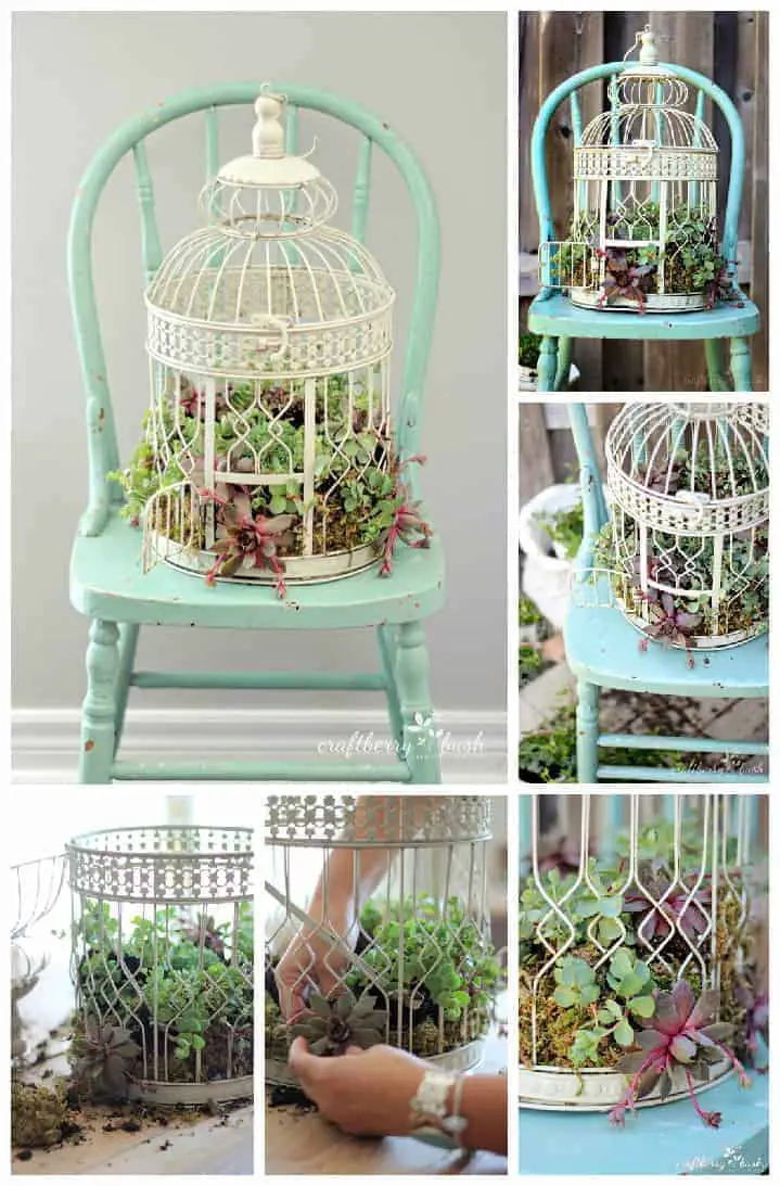 diy: transform a birdcage into succulents planter • 1001