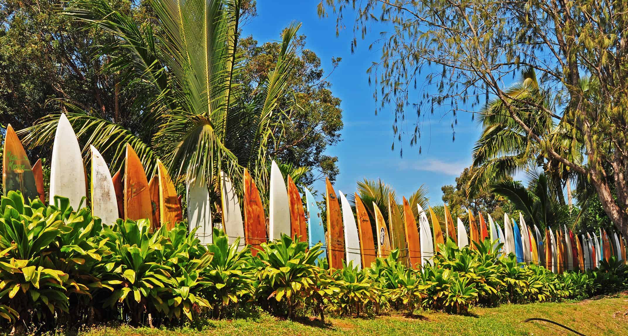 Upcycled Surfboard Fence | 1001 Gardens