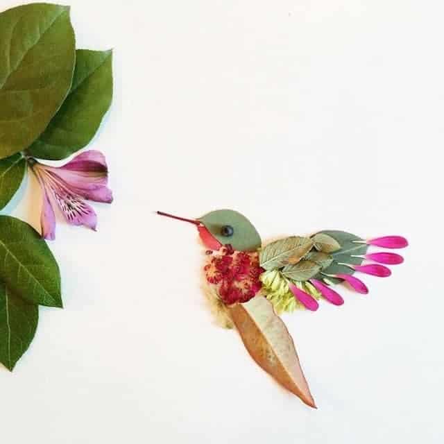 Playing With Flowers And Leaves - flowers-plants-planters Playing With Flowers And Leaves - flowers-plants-planters