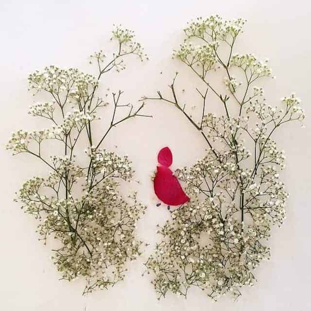 Playing With Flowers And Leaves - flowers-plants-planters Playing With Flowers And Leaves - flowers-plants-planters