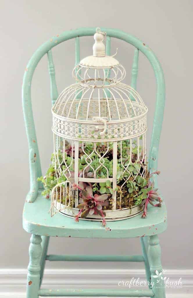 Diy: Transform A Birdcage Into Succulents Planter 2 - Flowers & Plants - 1001 Gardens Diy: Transform A Birdcage Into Succulents Planter 1 - Flowers & Plants