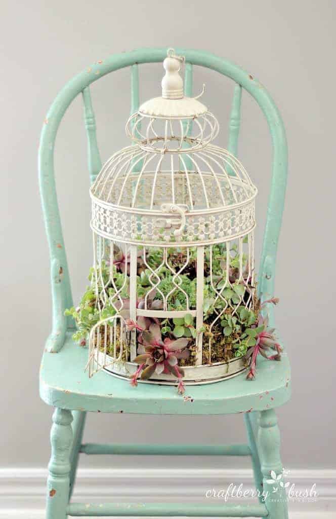 Diy: Transform A Birdcage Into Succulents Planter 1 - Flowers & Plants