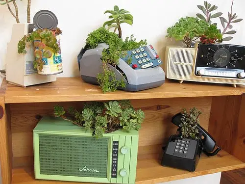 Retro Objects Into Succulent Planters 49 - Flowers & Plants