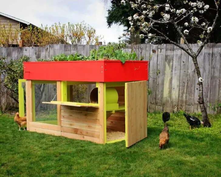 Modern, Aesthetic Chicken Coop 4 - Bird Feeders & Houses
