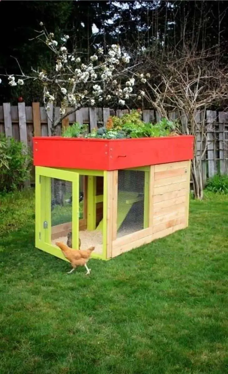 Modern, Aesthetic Chicken Coop 36 - pallets