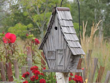 she sheds are cute new outdoors trend outdoortheme.com