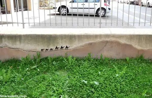 street-art-nature-oakoak