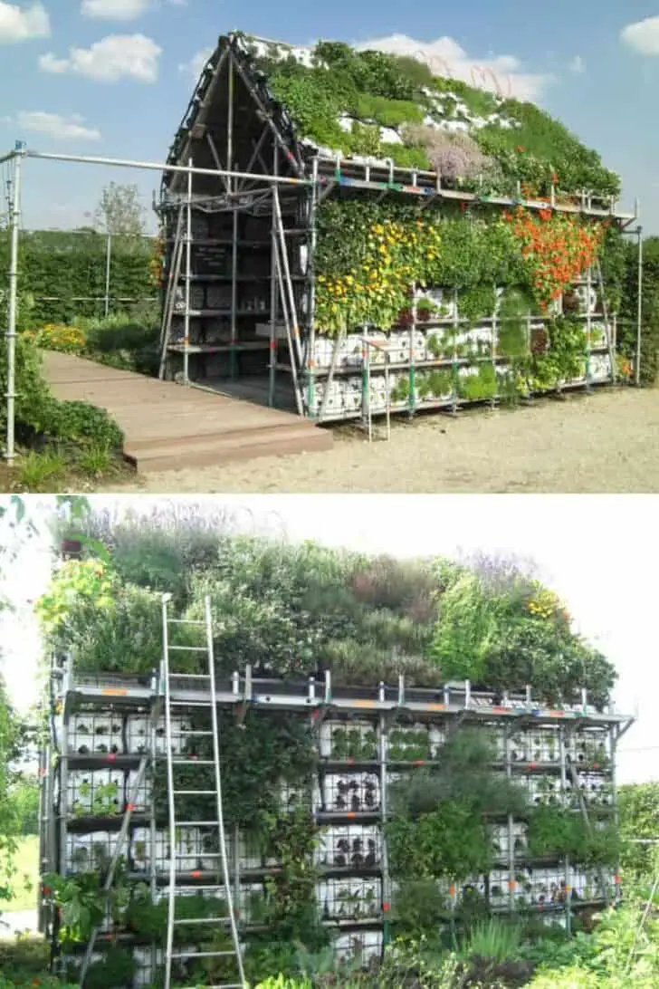 Eathouse : a Concept of Garden in the Form of a House