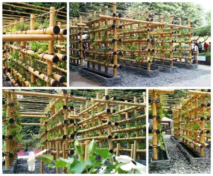 The Babylon Urban Garden Made Out of Bamboo 1 - vegetable
