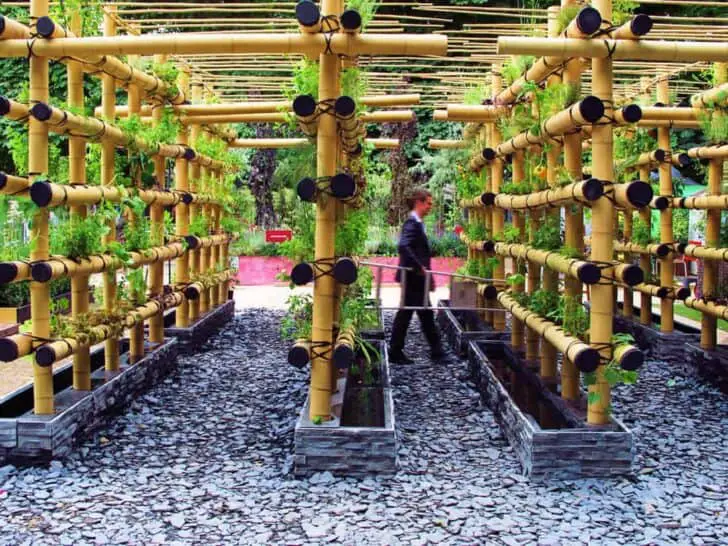 The Babylon Urban Garden Made Out of Bamboo 2 - Flowers & Plants