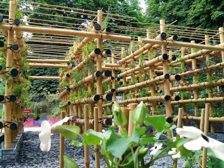 bamboo-garden-vertical3