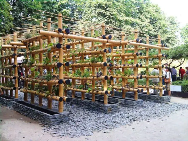 bamboo-garden-vertical4