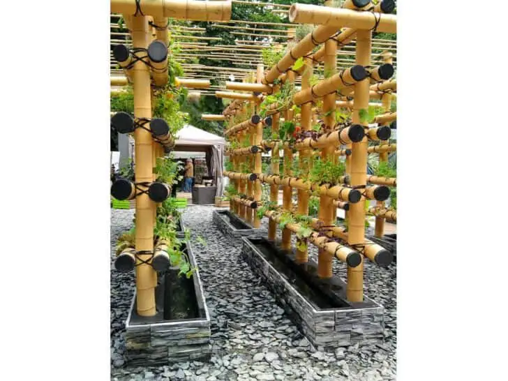 bamboo-garden-vertical5