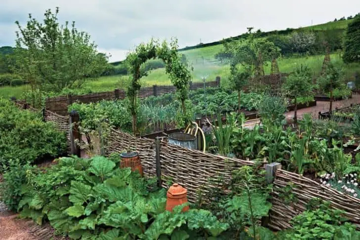 How To Make Wattle Fencing: An Inexpensive Option For Fencing - 1001