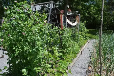 Perfect Example Of A Vegetable Garden Layout - 1001 Gardens