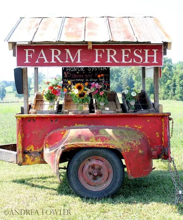 Farmfresh Bouquets: Social Experiment to Sell Flowers on a Trailer by the Side of the Road 1 - flowers