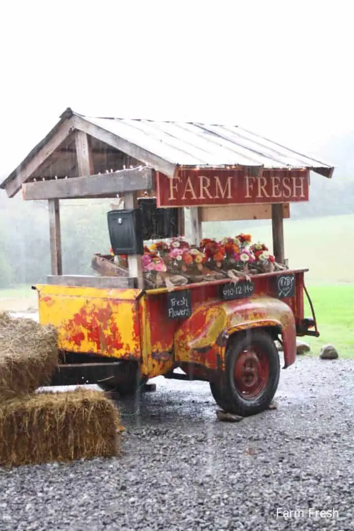 Farmfresh Bouquets: Social Experiment to Sell Flowers on a Trailer by the Side of the Road 4 - Flowers & Plants