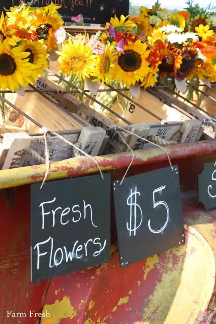 Farmfresh Bouquets: Social Experiment to Sell Flowers on a Trailer by the Side of the Road 2 - Flowers & Plants