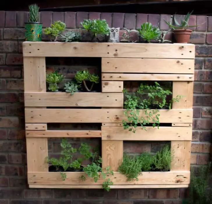 Unstructured Pallet Vertical Garden 12 - Flowers & Plants