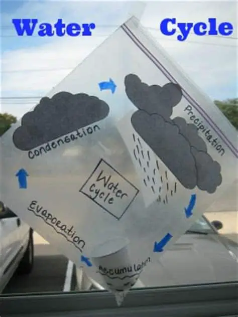 Diy Tutorial: Fog, Water, Rain! Create Your Own Water Cycle in a Plastic Bag 8 - tutorial