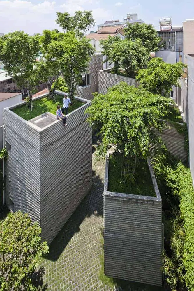 House for Beautiful Trees as an Answer to Lack of Greenery in the Cities 14 - Flowers & Plants