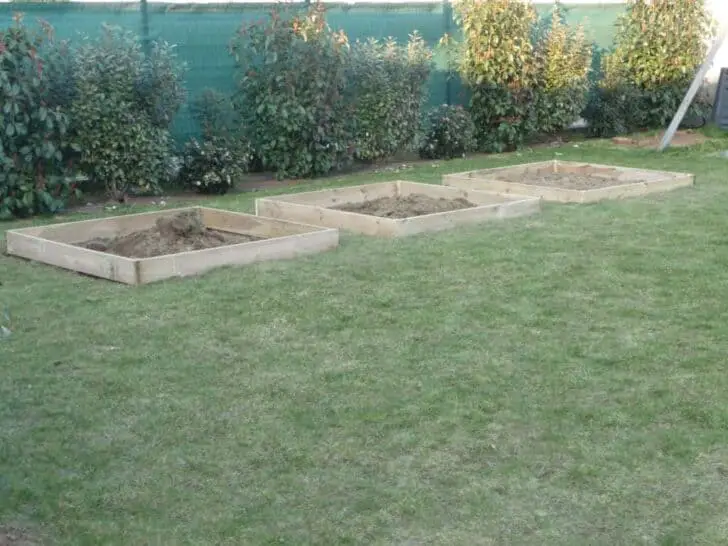How to Prepare Your Raised Garden Beds 1001 Gardens