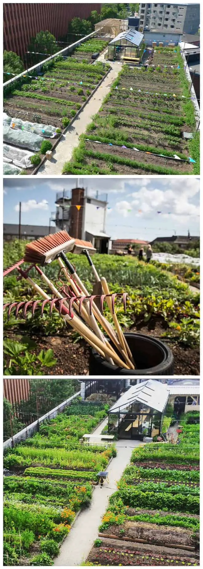 Oestergro, A Urban Farm Landscape Made In Denmark 15 - Landscape & Backyard Ideas