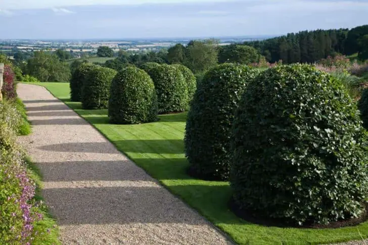 tom stuart-smith / yorkshire garden botanical landscape