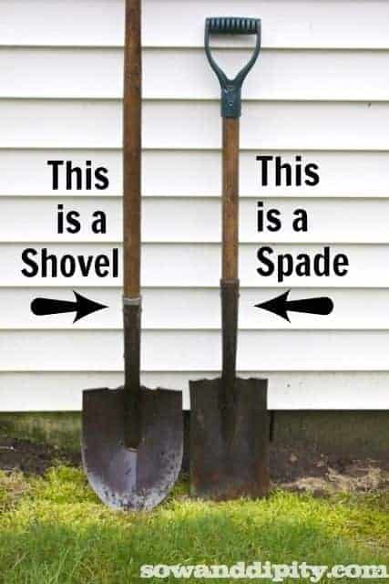 9 Essential Garden Tools for Your Shed