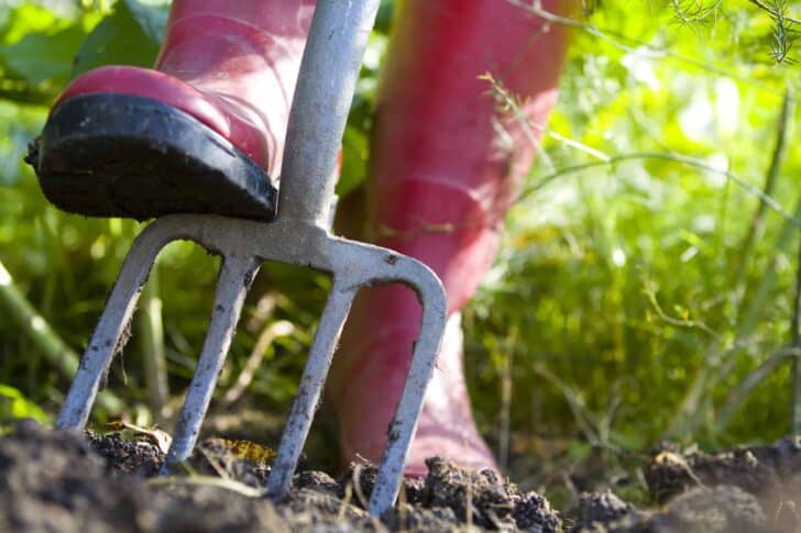 9 Essential Garden Tools for Your Shed