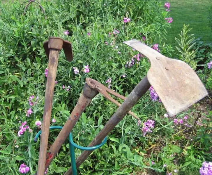 9 Essential Garden Tools for Your Shed