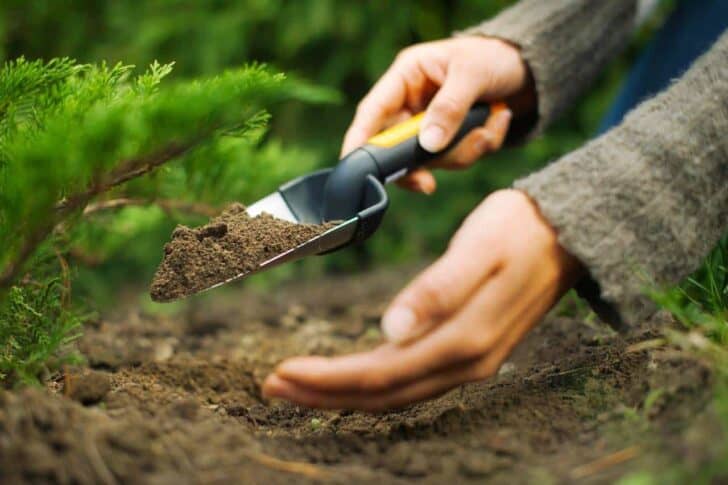 9 Essential Garden Tools for Your Shed