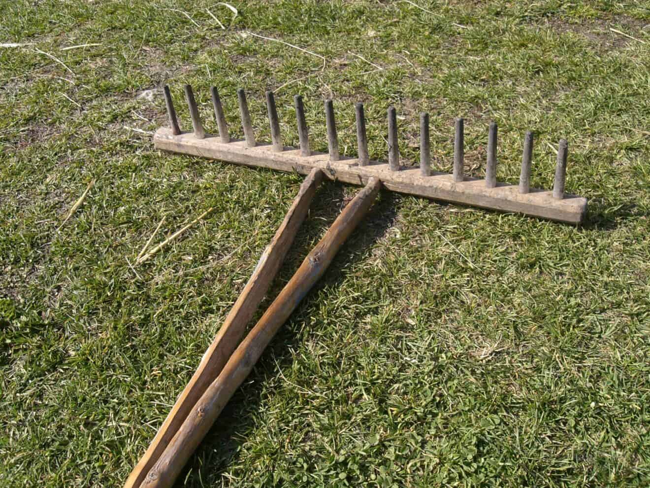 9 Essential Garden Tools for Your Shed 1001 Gardens