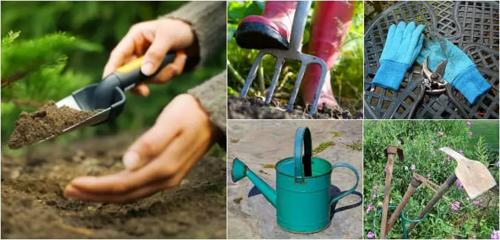 9 Essential Garden Tools for Your Shed