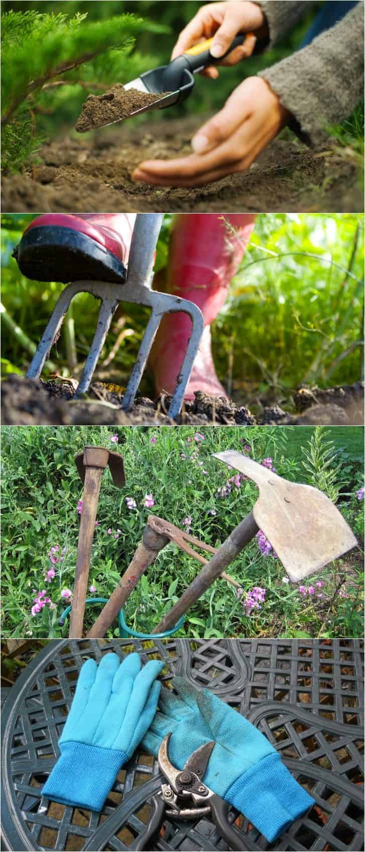 9 Essential Garden Tools for Your Shed