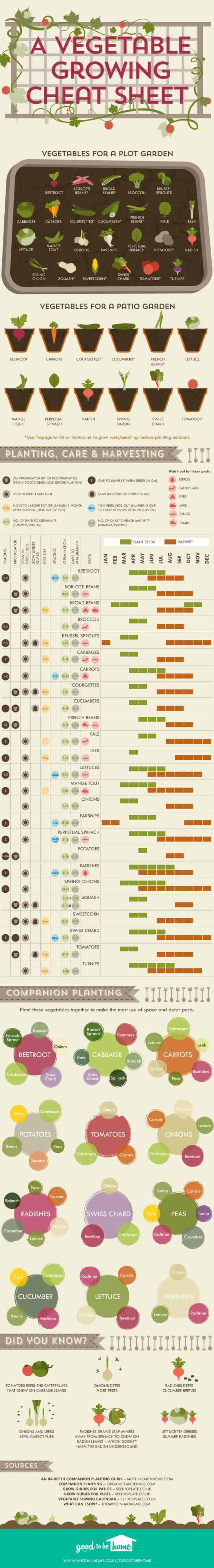 Create your Personal Vegetable Growing Cheatsheet Online