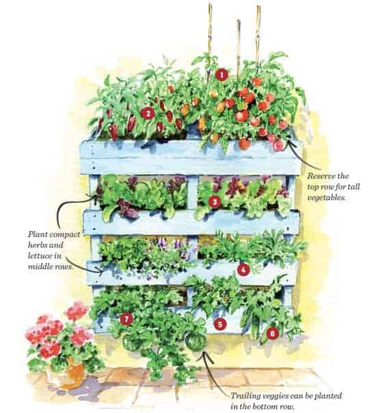 How to Build your Own Vertical Pallet Garden