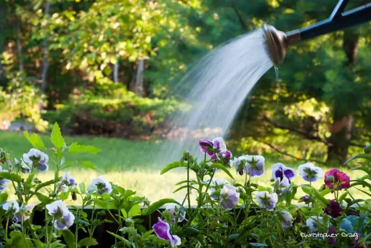 Garden Care & Maintenance Methods