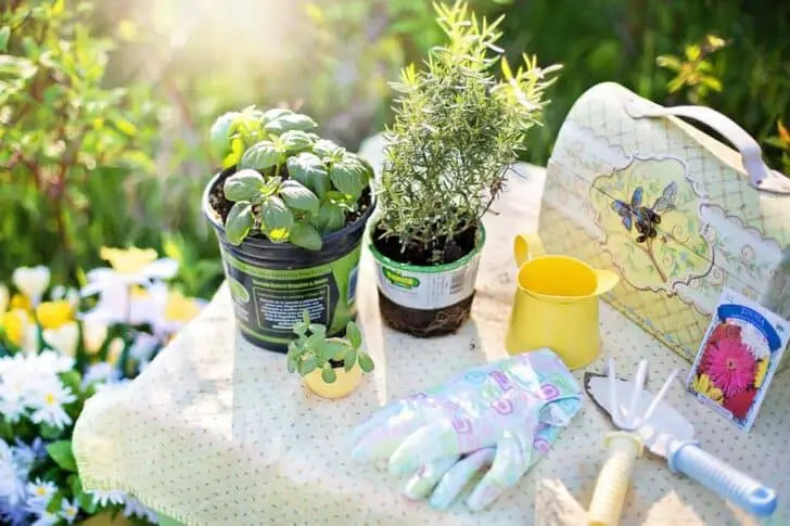 Garden Care & Maintenance Methods