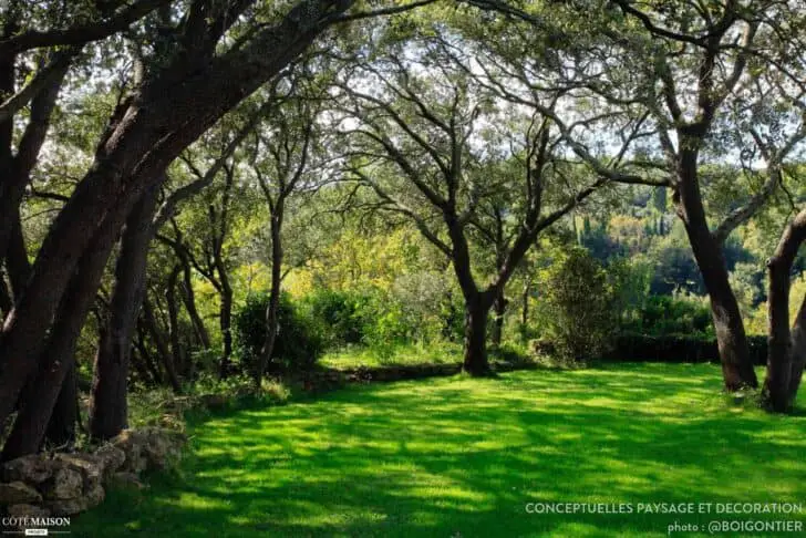 Beautiful Minimalist Garden