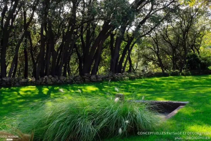 Beautiful Minimalist Garden