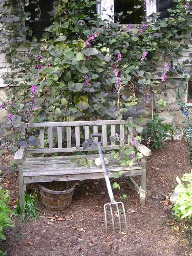 12 Shabby Chic & Bohemian Garden Ideas