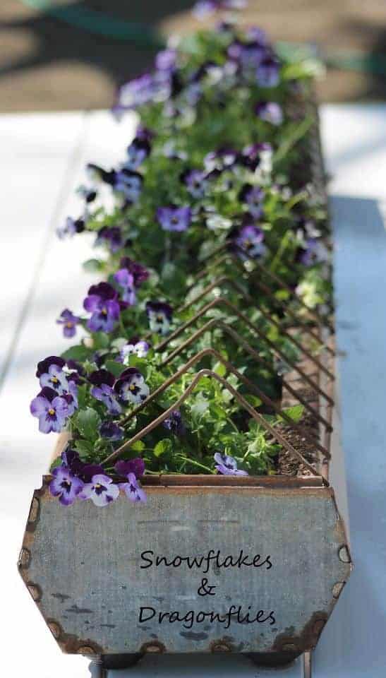 20 Easy DIY Gutter Garden Ideas