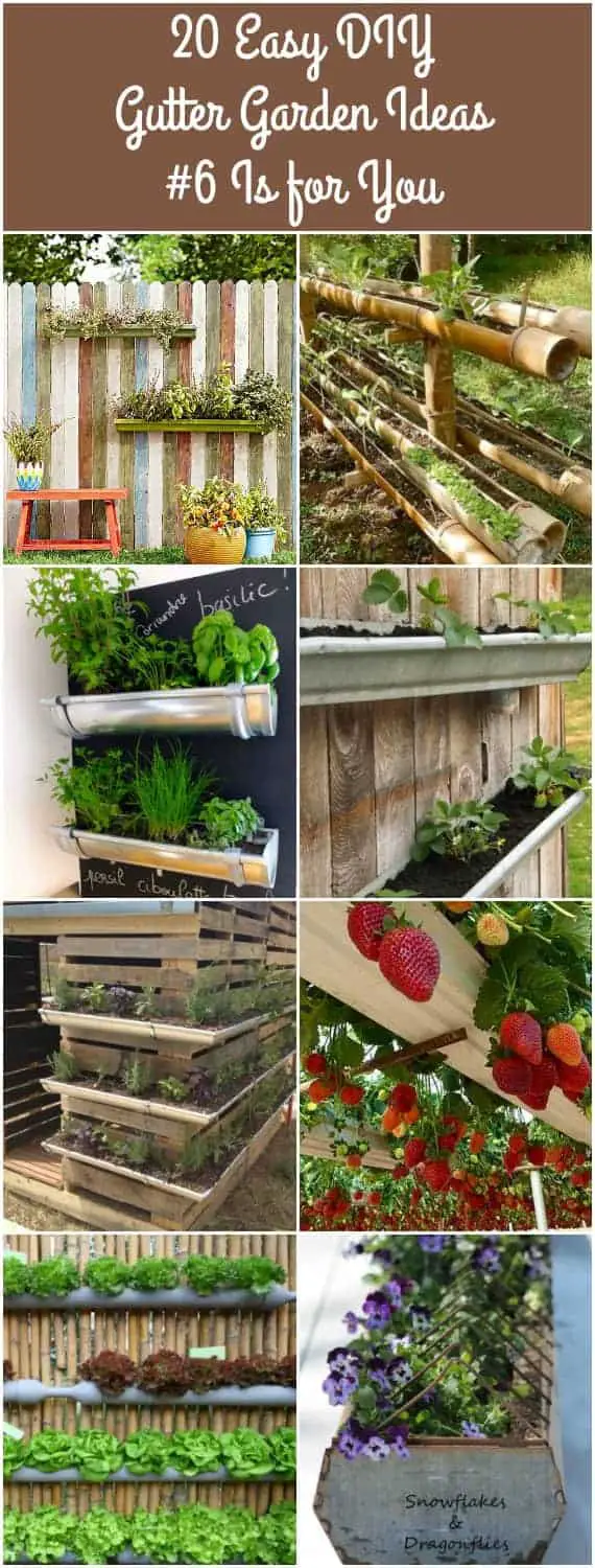20 Easy DIY Gutter Garden Ideas #6 Is for You