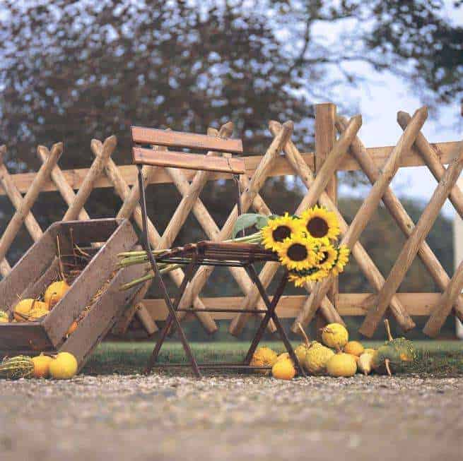 20 Inexpensive Fencing Ideas for Your Garden