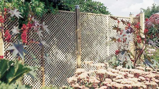 20 Inexpensive Fencing Ideas for Your Garden