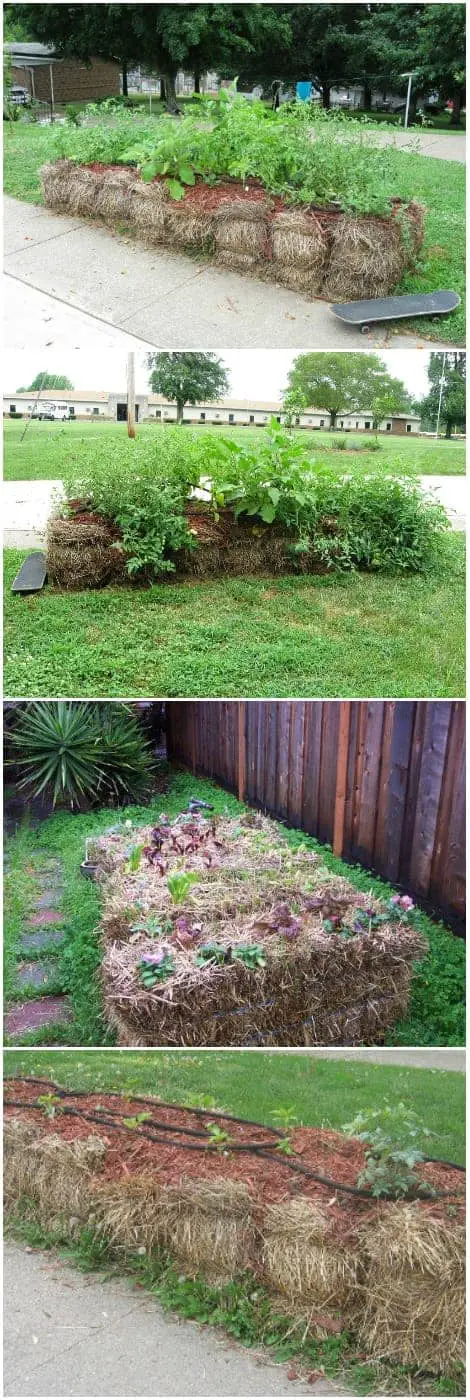 Guide To Straw Bale Gardening 1001 Gardens