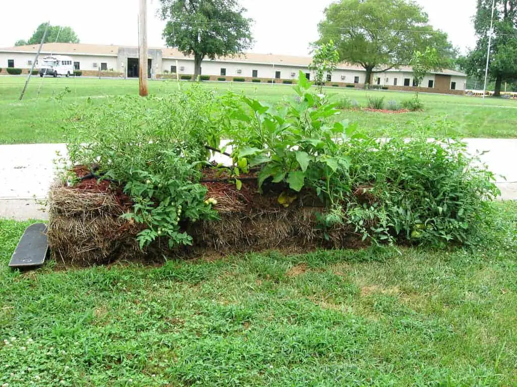 Guide to Straw Bale Gardening 1001 Gardens