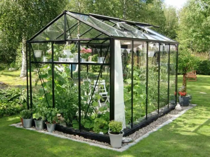 Buying guide: how to choose a garden greenhouse