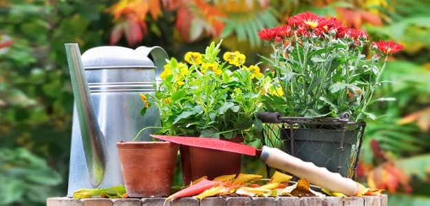 List of Fall Gardening